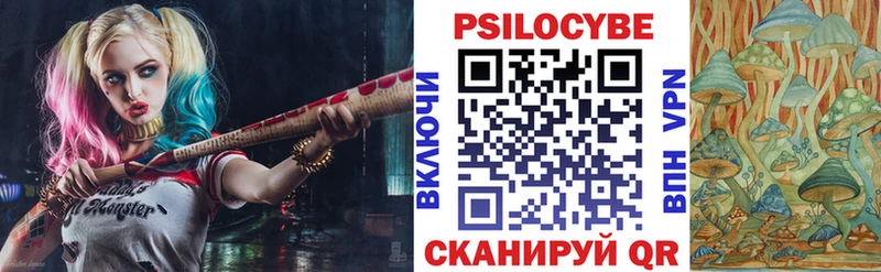купить закладку  Чегем  Галлюциногенные грибы ЛСД 